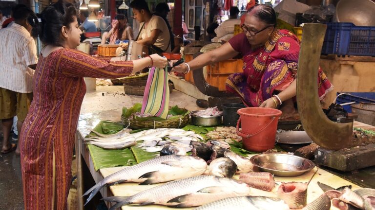 Bangladesh revokes ban on hilsa export to India, allows 3000 tonne shipment | Latest News India