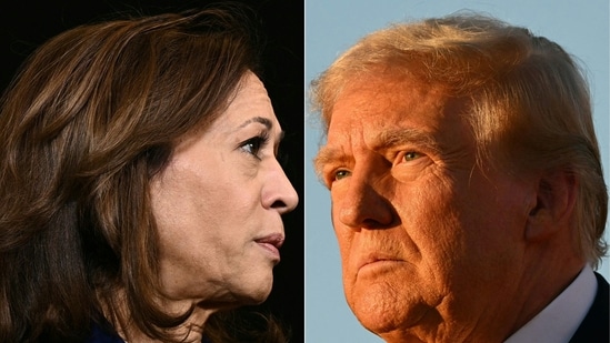 Business News LIVE Updates Today November 5, 2024: Donald Trump Vs Kamala Harris: How the Indian stock market could react